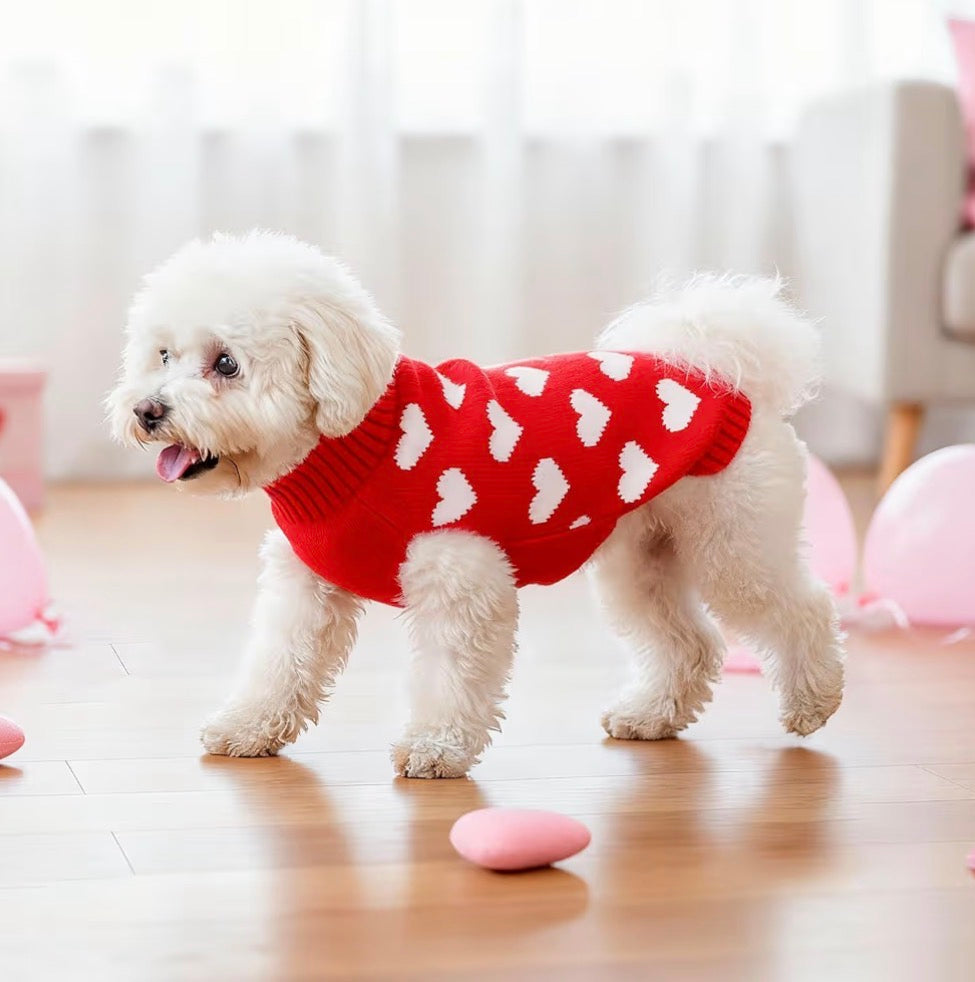 Pet heart jumper ❤️