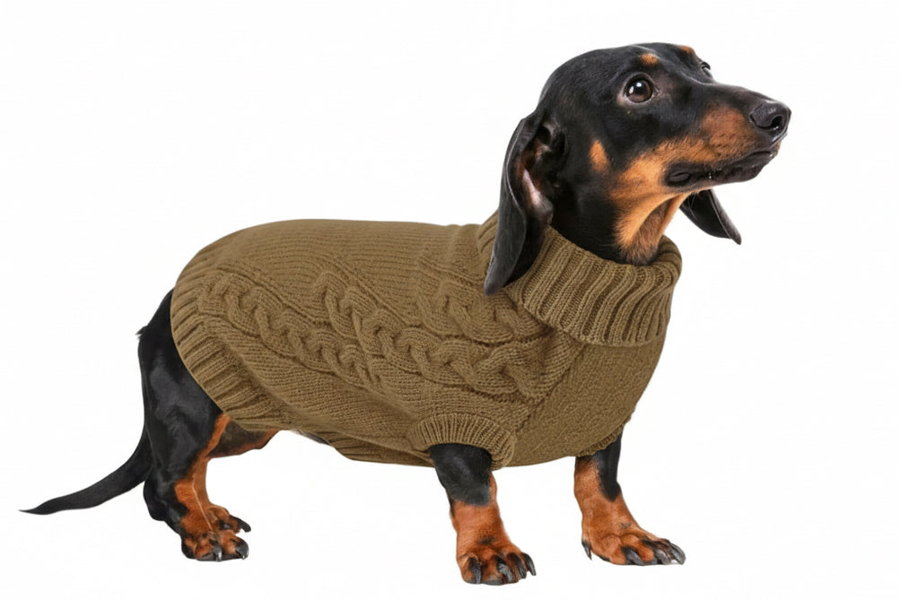 Turtle neck pet jumper 🐢