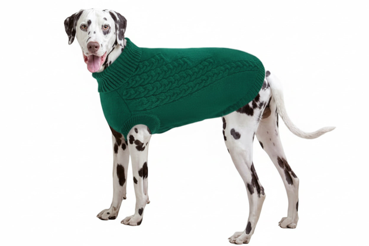 Turtle neck pet jumper 🐢