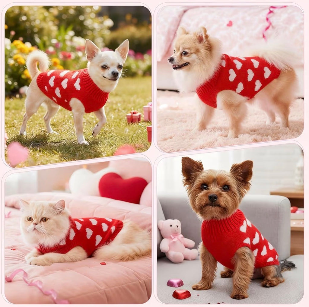 Pet heart jumper ❤️