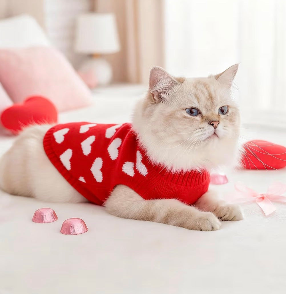 Pet heart jumper ❤️