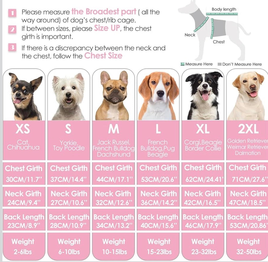 Turtle neck pet jumper 🐢