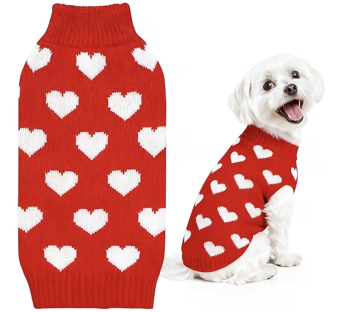 Pet heart jumper ❤️