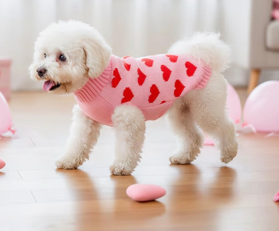 Pet heart jumper ❤️