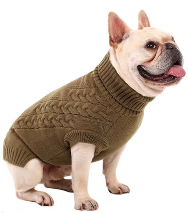 Turtle neck pet jumper 🐢