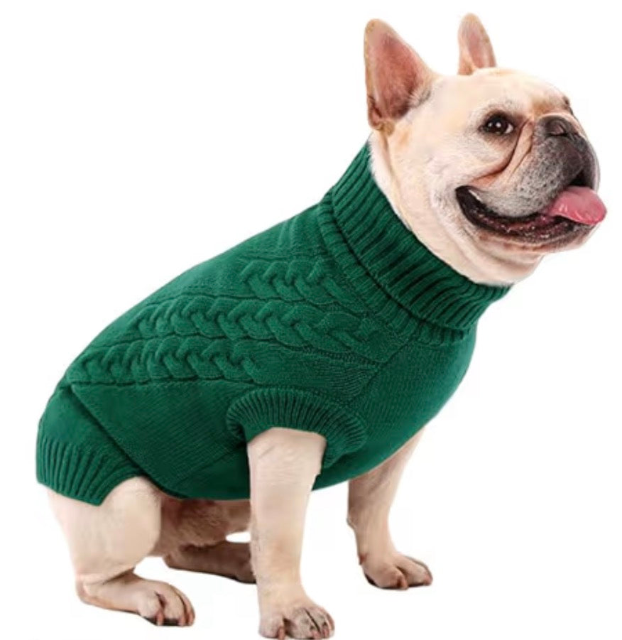 Turtle neck pet jumper 🐢